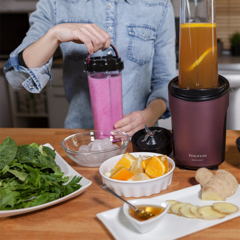Taurus SHAKE-AWAY 450W Blender - Image 6