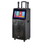 Everest ETKTV1612A Smart Karaoke TV - 2025
