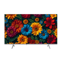 Skyworth 65QE63G 65in 4K QLED Google TV