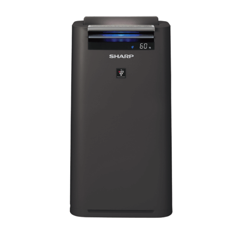 Sharp KC-G40E-H 28 sqm. Humidifying Air Purifier - 2025