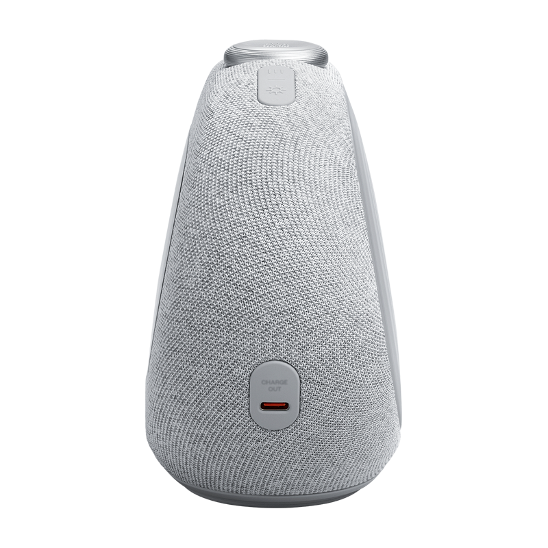 JBL Horizon 3 Bluetooth Clock Radio Speaker Gray - Image 4