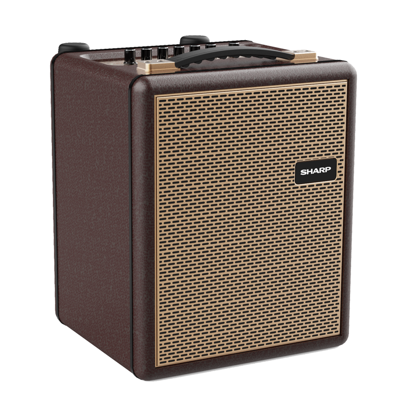 Sharp CS-0610P-BR 60 Watts Classic Speaker - 2026